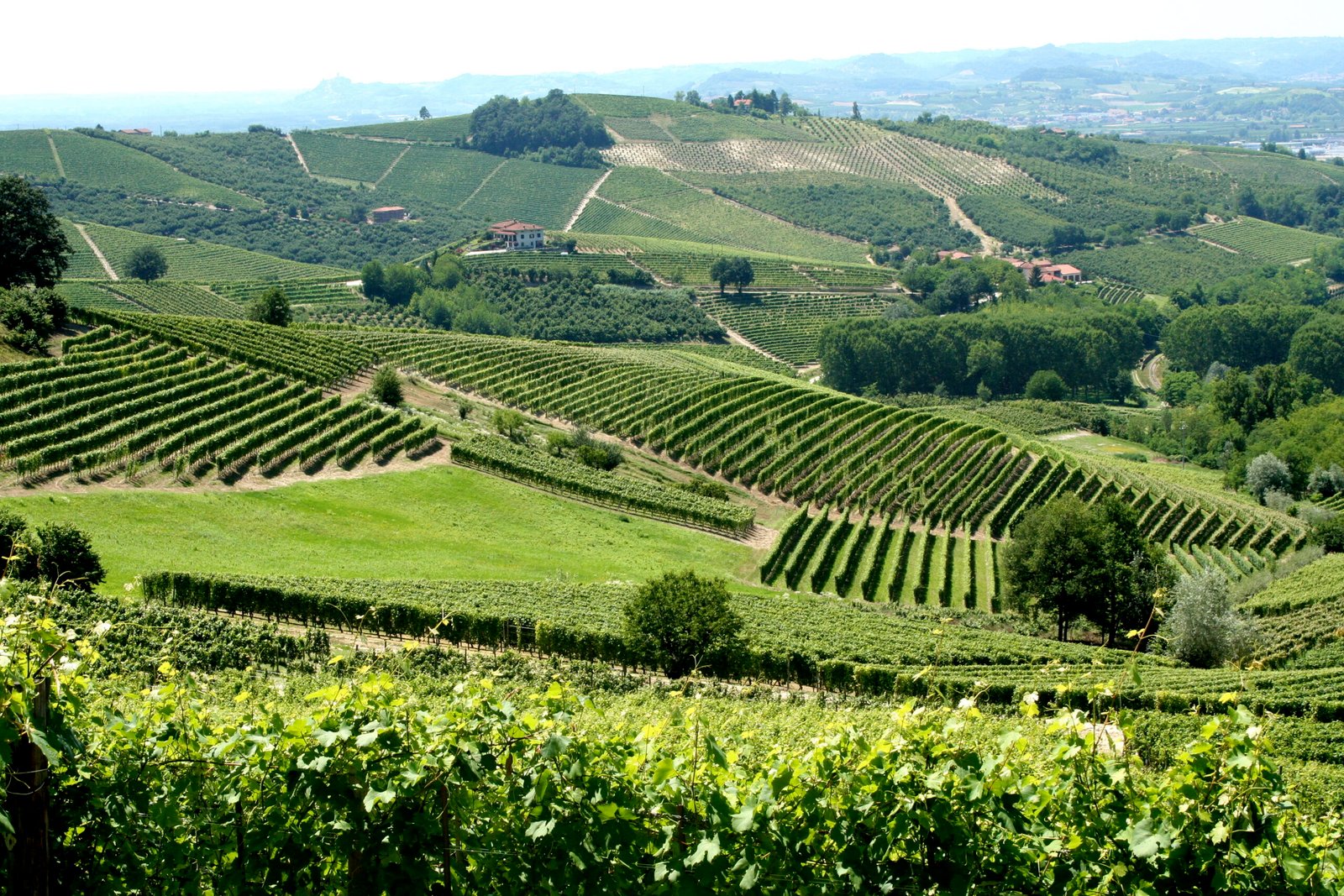 Ski rental Piemonte: resorts, prices and where to rent